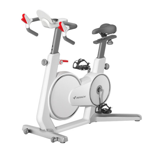 Xiaomi best sale spinning bike